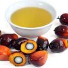 Palm Oil