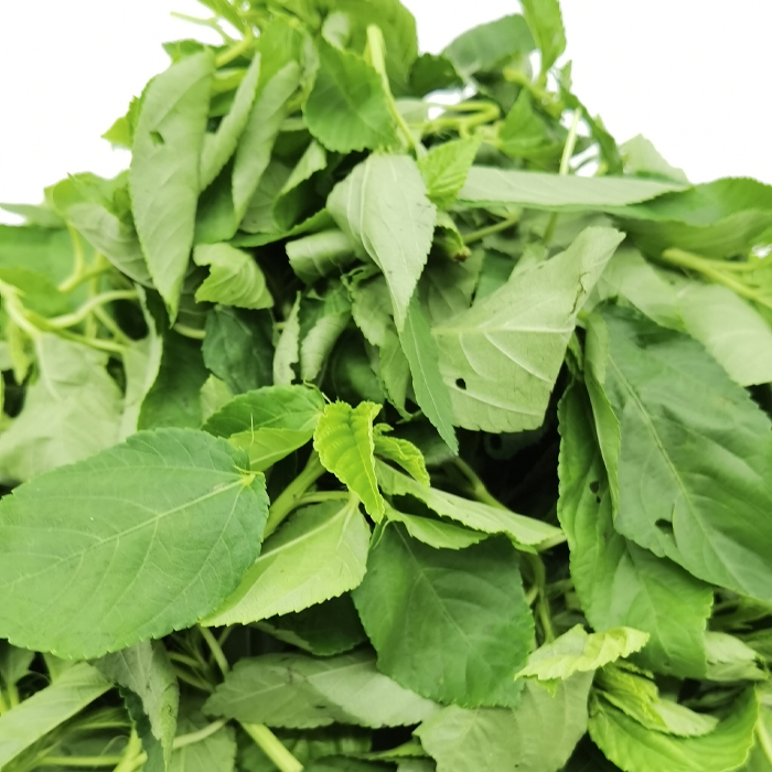 L/F Ademe,, is a fresh leafy vegetable widely used in West African cuisine. It is commonly prepared in traditional soups and sauces, where it adds a rich flavor and natural thickness to dishes.