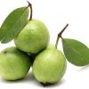 Fresh Guava