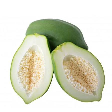 Green Papaya