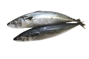 Kandratiki/Bar Entier