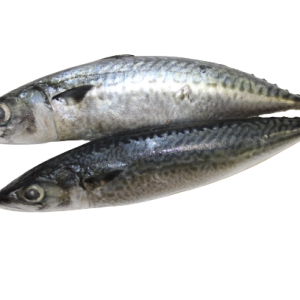 Kandratiki/Bar Entier