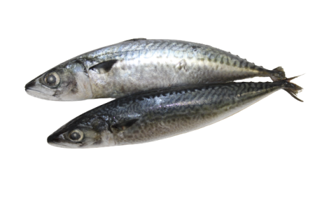 Kandratiki/Bar Entier