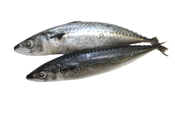 Kandratiki/Bar Entier