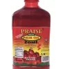 Praise Palm Oil Zomi 1LTR