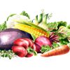 Fresh Vegetables