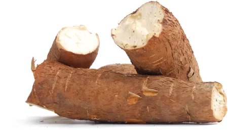 Manioc / Cassava