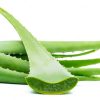 Aloe Vera from Spain is a fresh, high-quality plant known for its natural health and skincare benefits. The thick, fleshy leaves contain a soothing gel widely used in natural remedies, cosmetics, and skincare products. Aloe vera can also be used in juices and traditional preparations for its refreshing and nourishing properties.