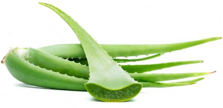 Aloe Vera from Spain is a fresh, high-quality plant known for its natural health and skincare benefits. The thick, fleshy leaves contain a soothing gel widely used in natural remedies, cosmetics, and skincare products. Aloe vera can also be used in juices and traditional preparations for its refreshing and nourishing properties.