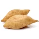 Patate Blanc (White Sweet Potato)